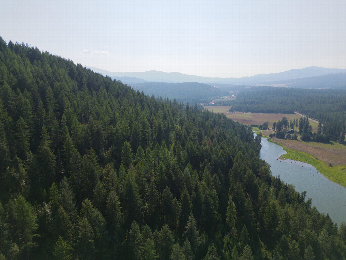 View West (towards Washington state), from 120m above the point