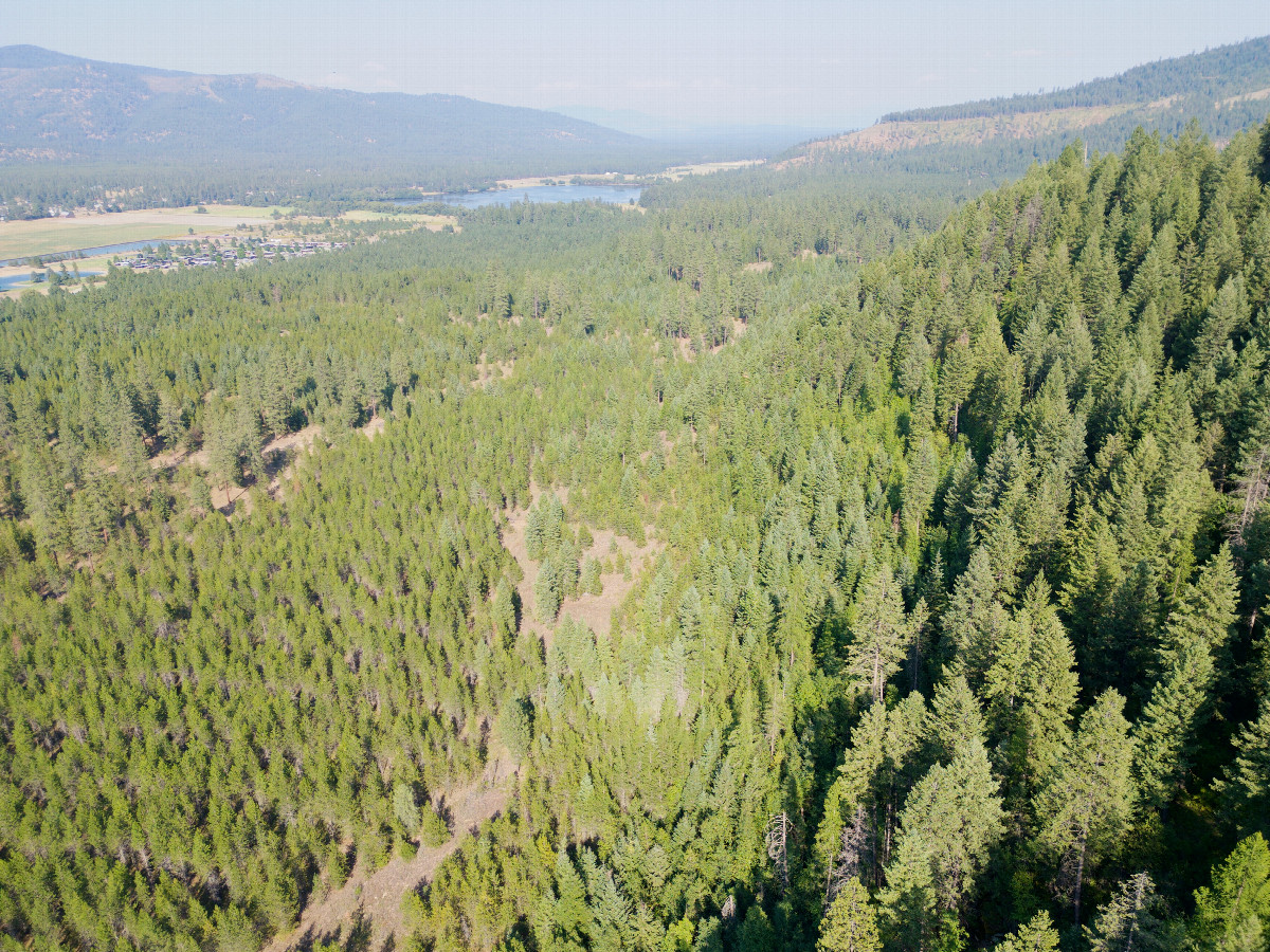 View East (towards Blanchard Lake) from a height of 120m