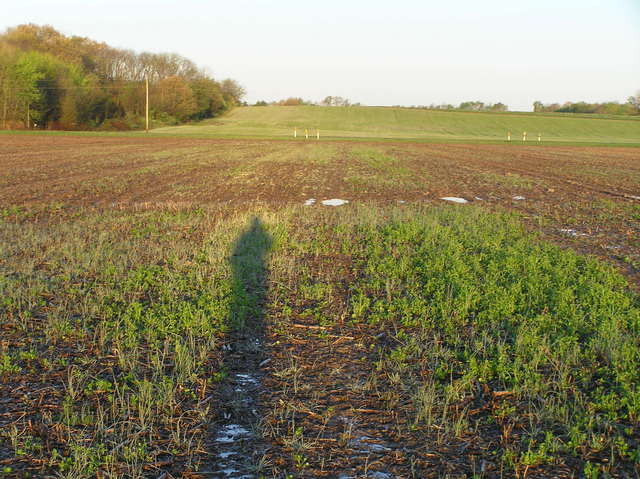 View to the west from the confluence.