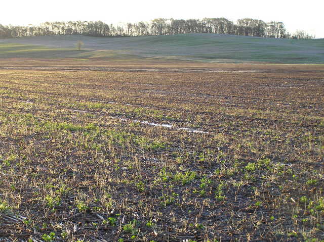 View to the southeast from the confluence.