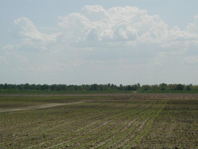 looking southwest from the confluence