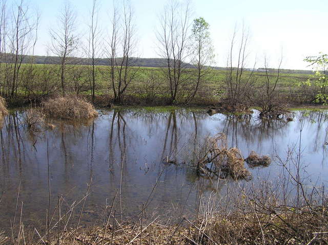 Confluence of 38 North 90 West, looking east-northeast.