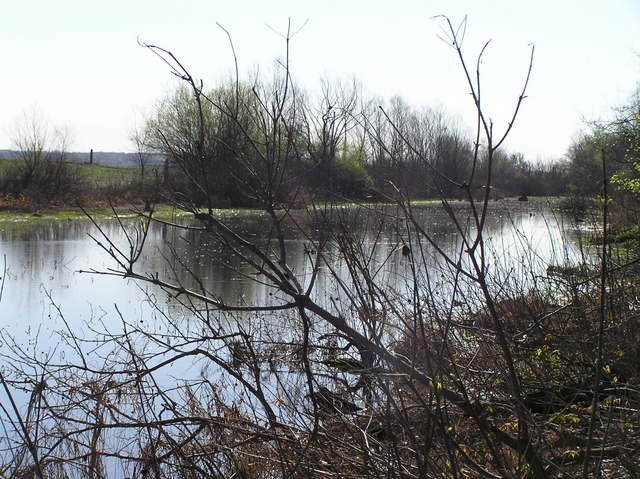 View to the southeast from the confluence.