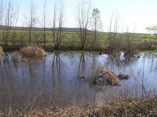 #1: Confluence of 38 North 90 West, looking east-northeast.