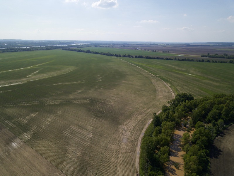 View West (from 400 feet above the point)