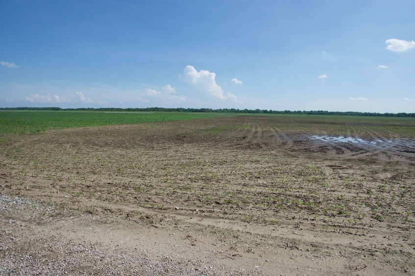 View South (from the top of the levee, 20 feet from the point)