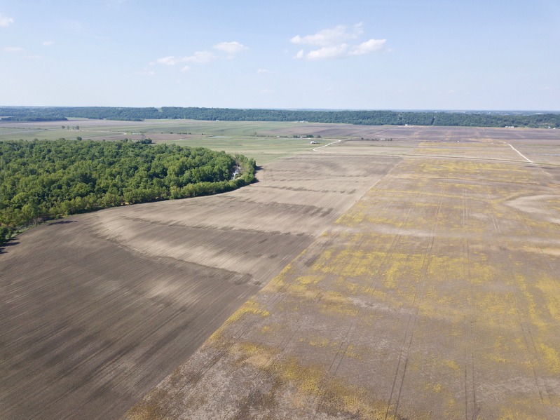 View North (from 400 feet above the point)