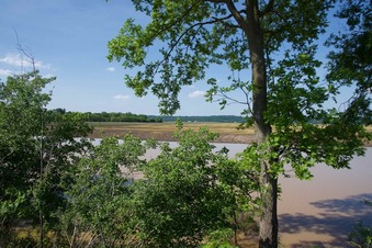 #1: View North (from the top of the levee, 20 feet from the point)