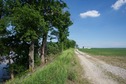 #2: View East (from the top of the levee, 20 feet from the point)