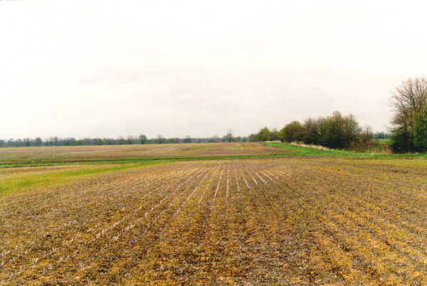 looking east from the confluence