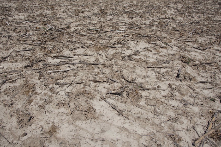 The confluence point lies in a (currently-fallow) corn field