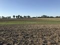 #4: View to the north from the confluence point. 