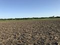 #6: View to the south from the confluence point. 