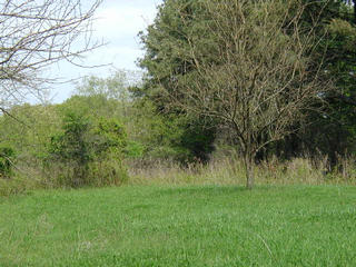 #1: looking north from the confluence