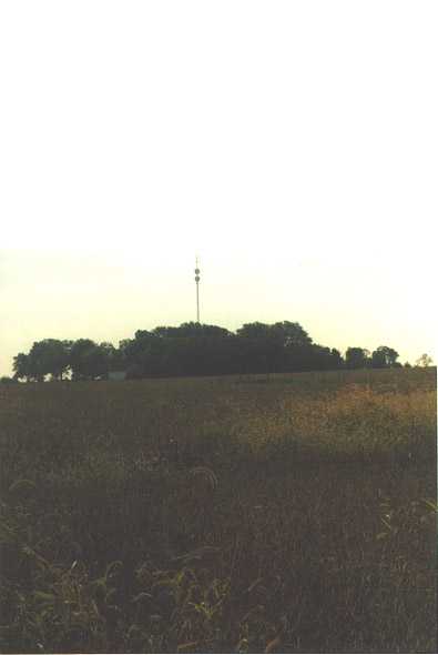 looking southeast from the confluence