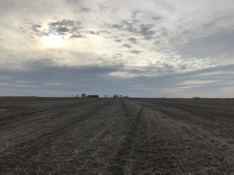 Looking west from the confluence of 40 North 88 West.