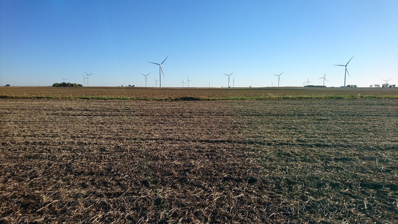 South view from the confluence.