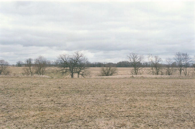 Best view of the land, looking east from the confluence.