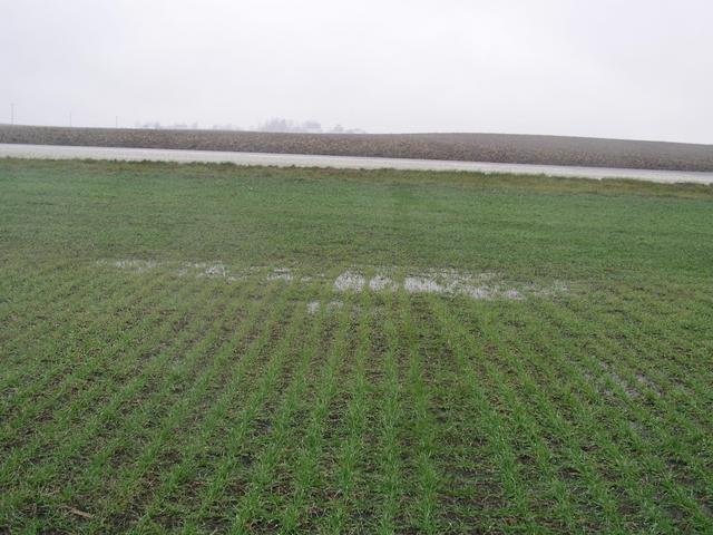 Looking north from 41N 88W to the freshly plowed field across the road.