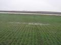 #2: Looking north from 41N 88W to the freshly plowed field across the road.