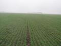 #4: Even in the rain, the view to the south from 41N 88W reveals some flat northern IL countryside.