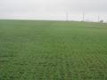 #5: Looking west from 41N 88W; Iroquois County is to the left, Kankakee County is to the right.