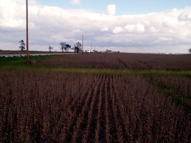 Looking East from the confluence