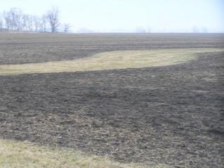 #1: Site of 41 North 88 West, looking southeast at the confluence and beyond.