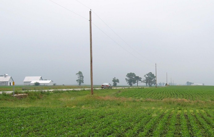 Soy beans to the east, too.