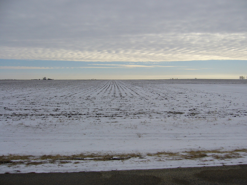 South: once there was vegetation