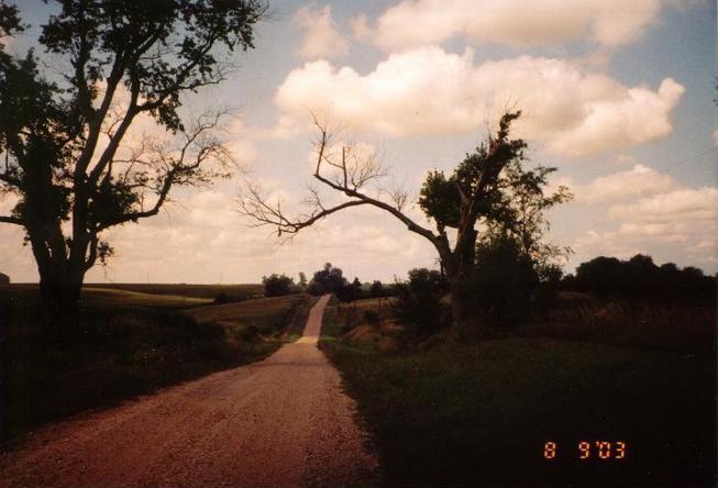 View along road just south of confluence