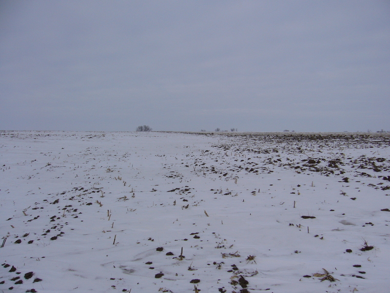 North: slightly undulated field