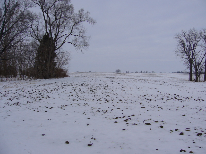 View from my car park towards the CP 410 m to the north