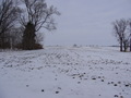 #5: View from my car park towards the CP 410 m to the north