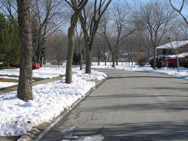 View to the east from the confluence.