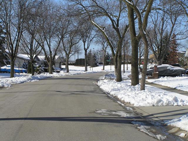 View to the west from the confluence.