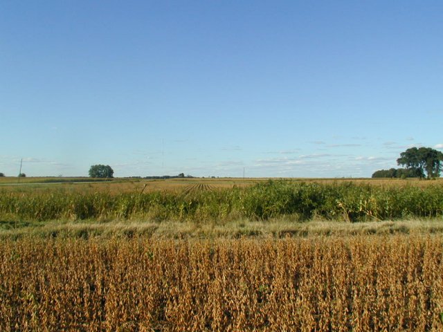 Looking due north from confluence