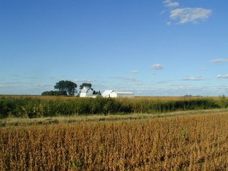 #1: Barns, etc. northeast of confluence