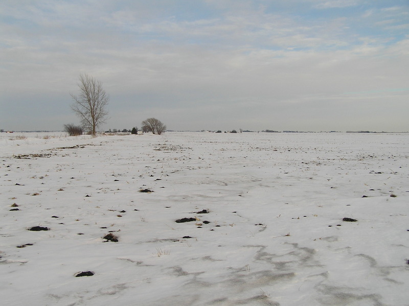 View to the east from the confluence.