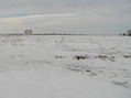 #5: View to the north from the confluence.