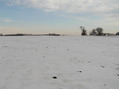 #7: View to the south from the confluence.