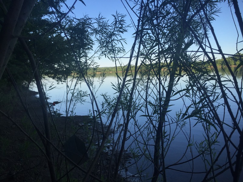 View to the east from the confluence.