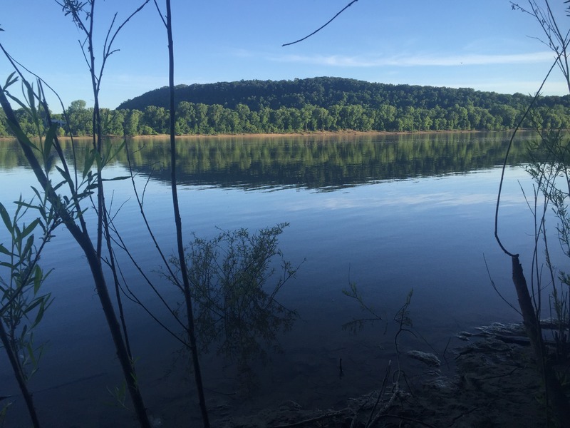 View to the south from the confluence.