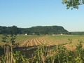 #9: The bluffs and fields a few hundred meters north of the confluence, looking east. 