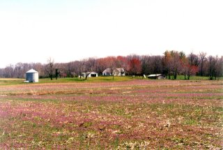 #1: Looking southeast toward the Masterson farm buildings