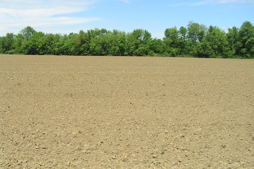 View to the north from the confluence.