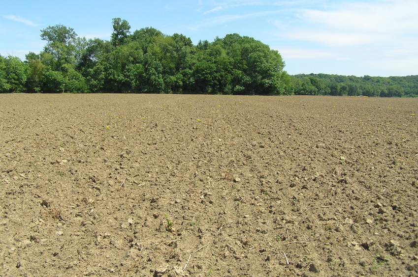 View to the east from the confluence.