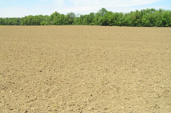 #1: Site of 38 North 88 West in the foreground, looking northwest.