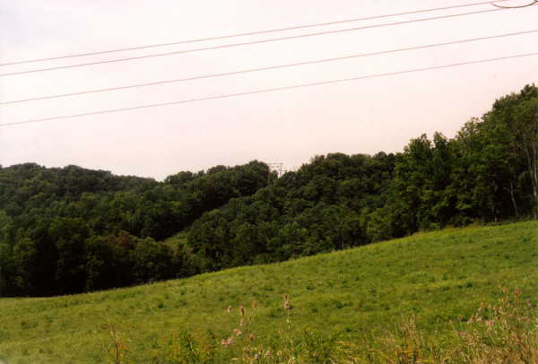 Looking west from the confluence