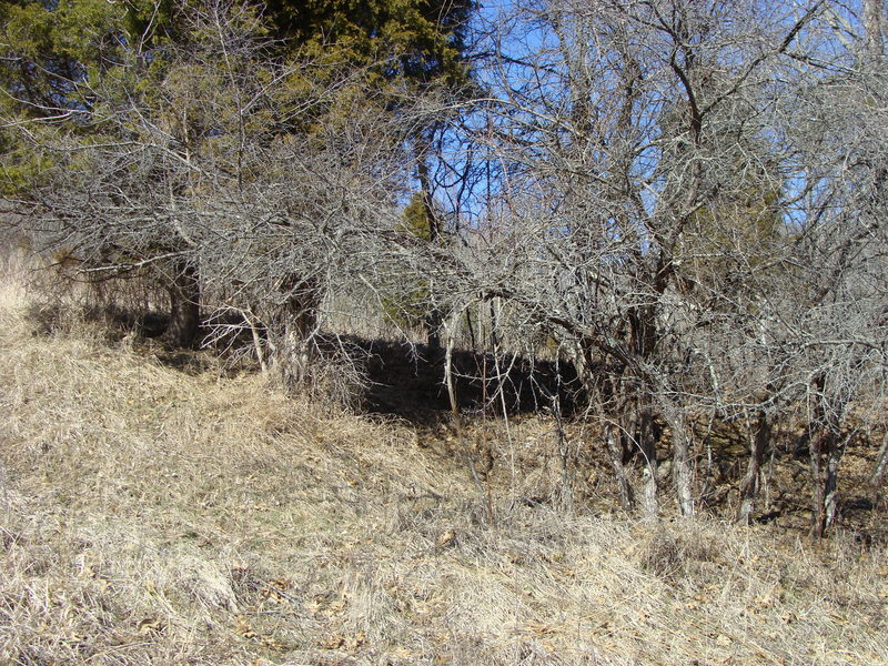 Looking uphill, north from 39N 85W.